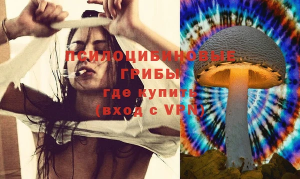 прущие крисы Вязьма