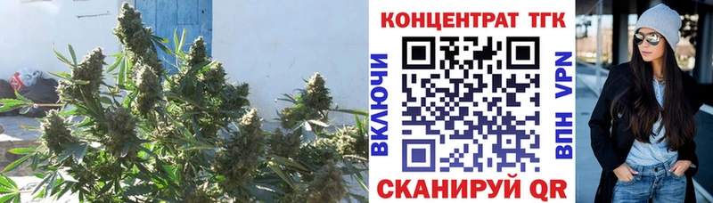 Купить закладки  Балтийск  ТГК жижа 