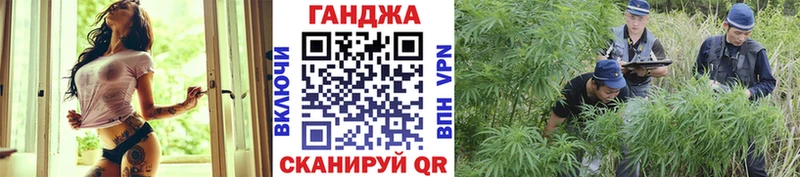 Шишки марихуана MAZAR  Купить закладки  Балтийск 